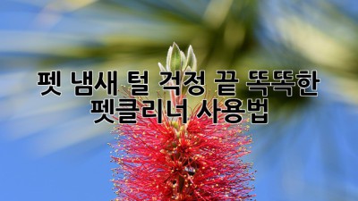 펫 냄새, 털 걱정 끝! 똑똑한 펫클리너 사용법