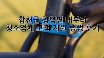 ✨ 합천군 청덕면 대부리 청소업체 고객 지원 생생 후기 🏡